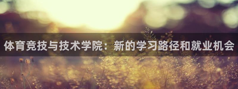 火凤体育v1211.官网打开游戏.org/：体育竞技与技术学院：新的学习路径和就业机会