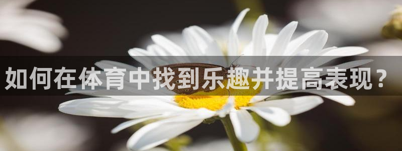 火凤体育app：如何在体育中找到乐趣并提高表现？
