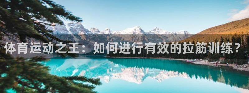 火凤体育官网：体育运动之王：如何进行有效的拉筋训练？