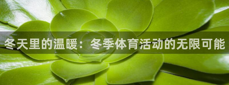 火凤体育app：冬天里的温暖：冬季体育活动的无限可能