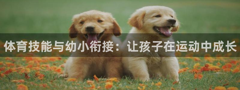 火凤体育nba直播：体育技能与幼小衔接：让孩子在运动中成长