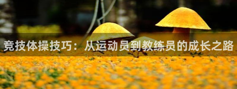 火凤体育：竞技体操技巧：从运动员到教练员的成长之路