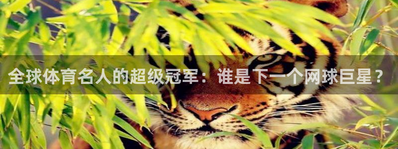 火凤体育v1211.官网打开游戏.org/：全球体育名人的超级冠军：谁是下一个网球巨星？