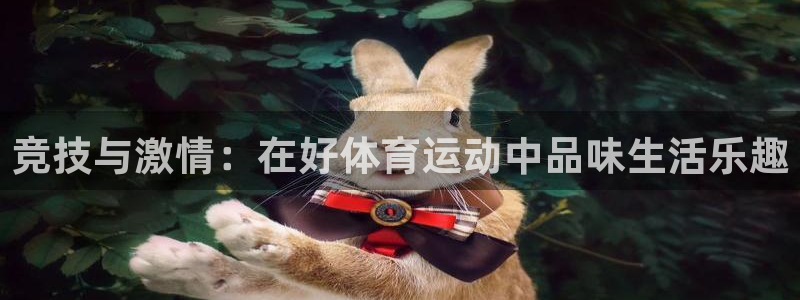 火凤体育app：竞技与激情：在好体育运动中品味生活乐趣