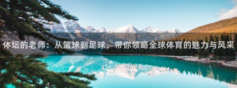 火凤体育app：体坛的老师：从篮球到足球，带你领略全球体育的魅力与风采