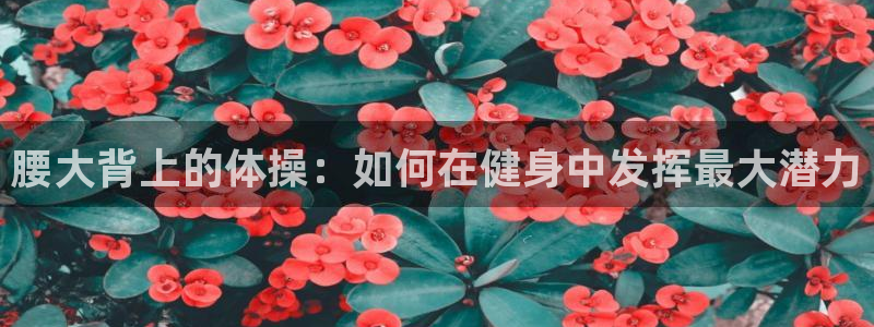 火凤体育免费直播nba：腰大背上的体操：如何在健身中发挥最大潜力