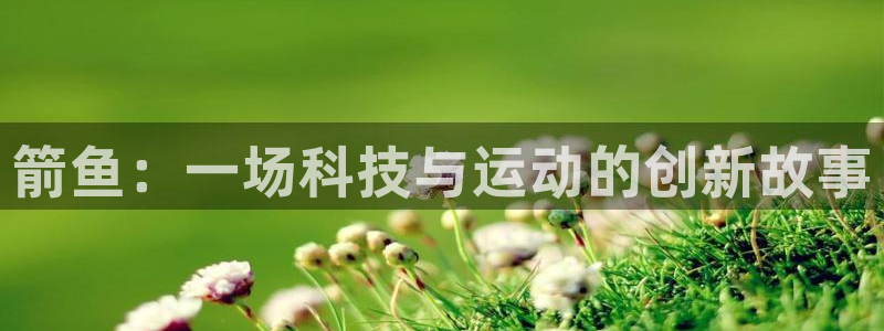 火凤体育免费直播nba：箭鱼：一场科技与运动的创新故事